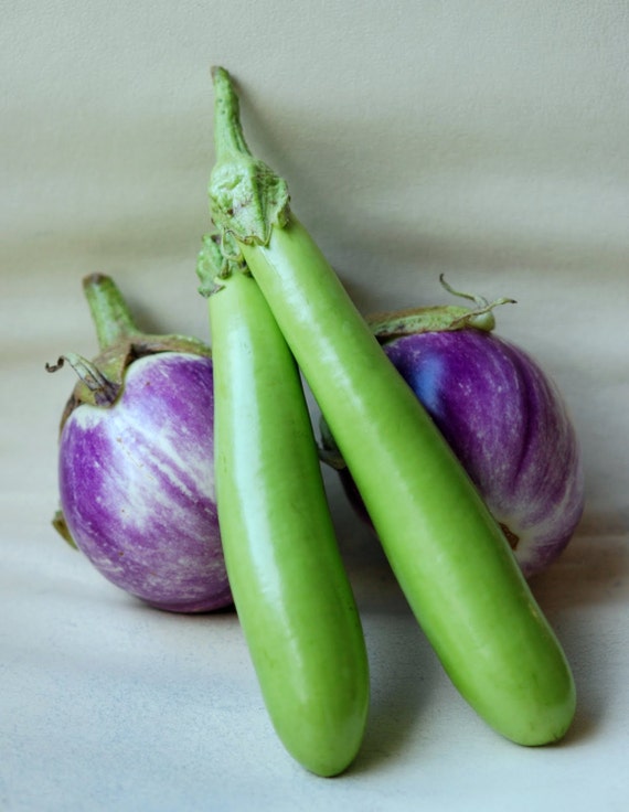 Long Green Japanese eggplant Seeds - 200 seeds- Asian